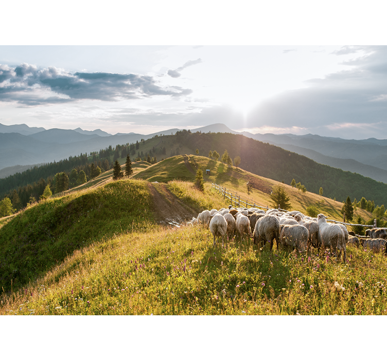 Landscape wall mural sheep on hillside - TenStickers