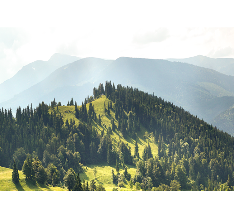 Green field and rocky Mountain wall mural - TenStickers