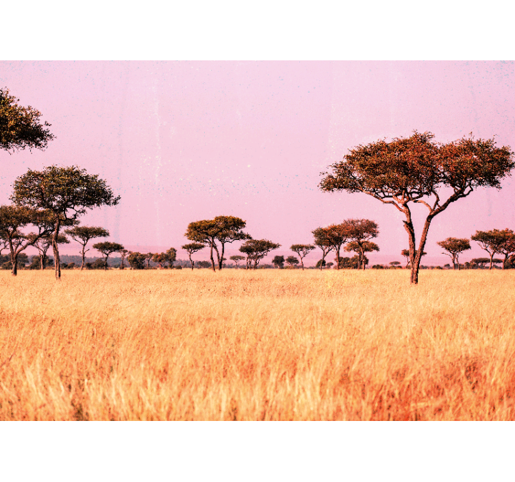 Landscape wall mural serene savanna scene - TenStickers