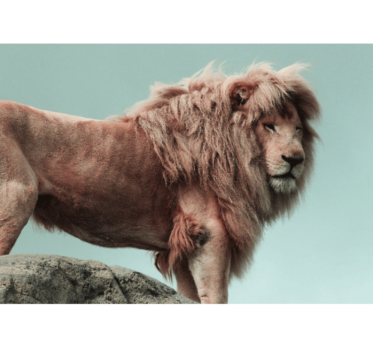 Lion wall mural majestic lion pose - TenStickers