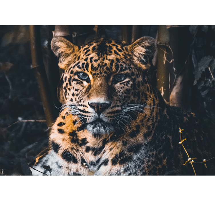 Animals wall mural majestic leopard portrait - TenStickers