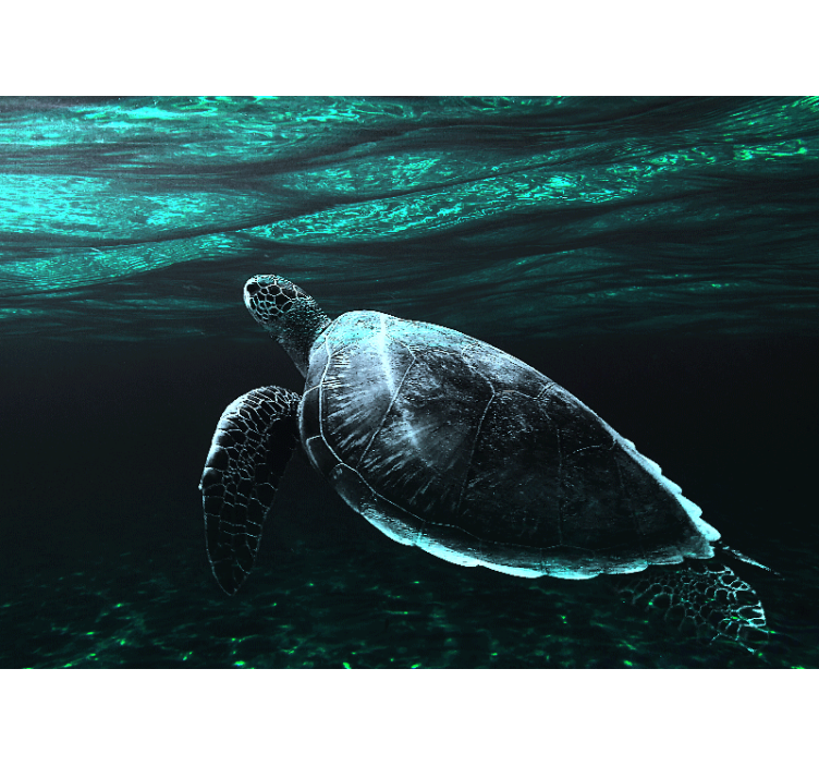 Animals wall mural majestic sea turtle - TenStickers
