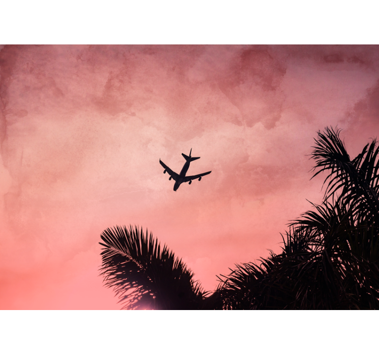 Airplane Silhouette at Dusk wall mural vehicle - TenStickers