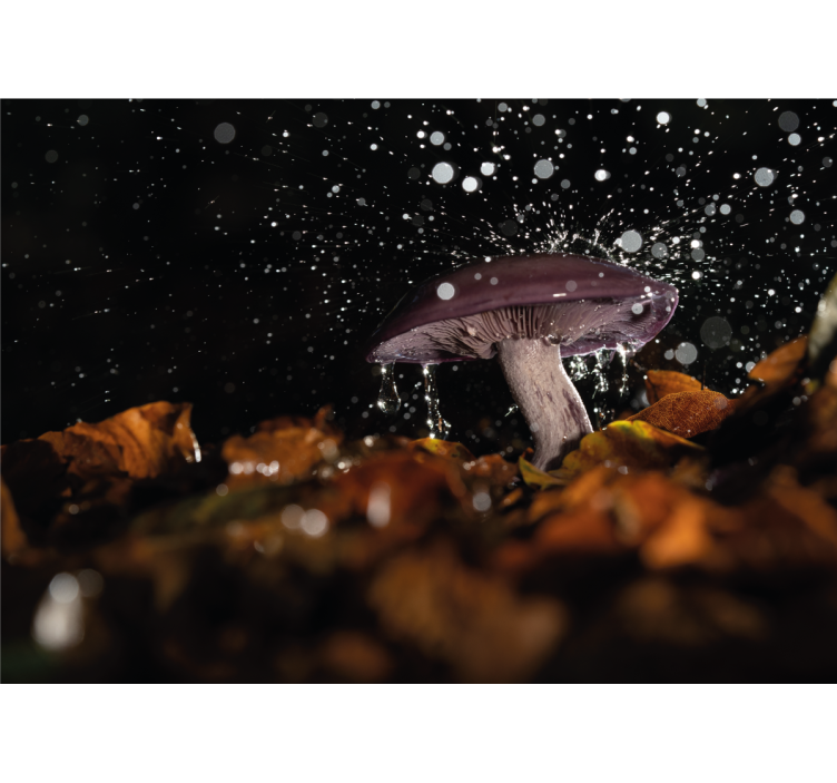Wild mushroom under rain nature wall mural - TenStickers