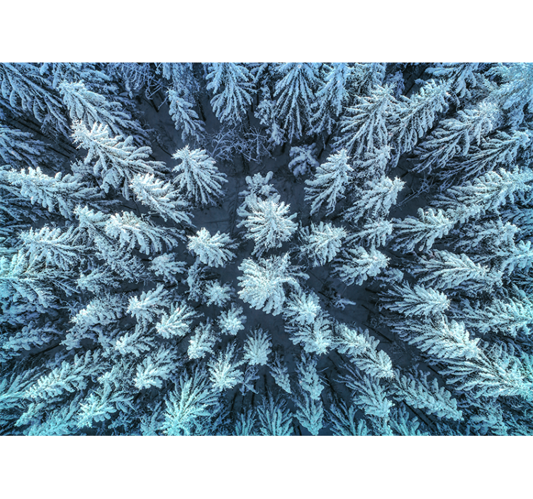 Wall mural nature frozen pine forest - TenStickers
