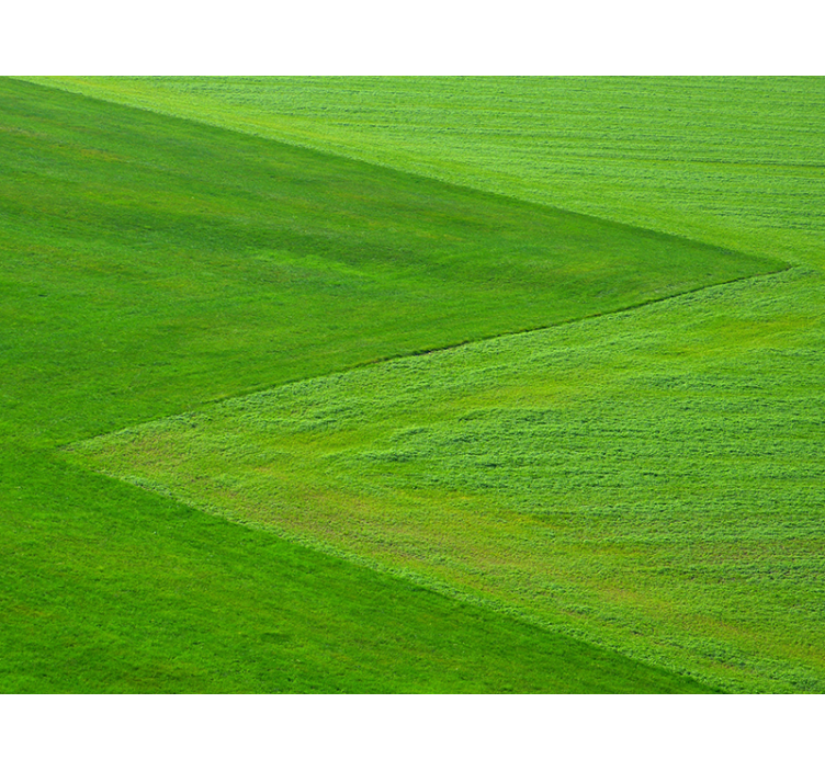 Pure green fields wall mural nature - TenStickers