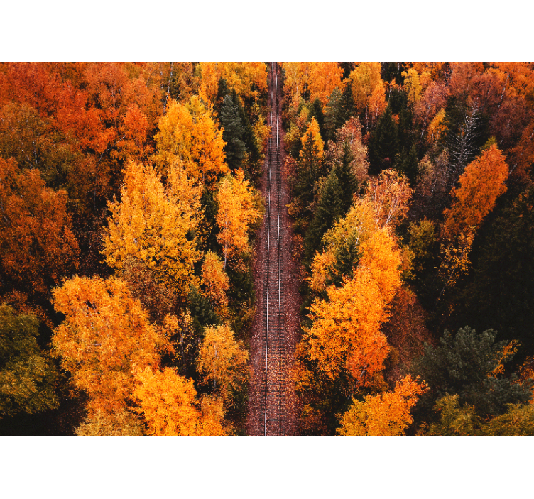 Landscape wall mural autumn woodland path - TenStickers