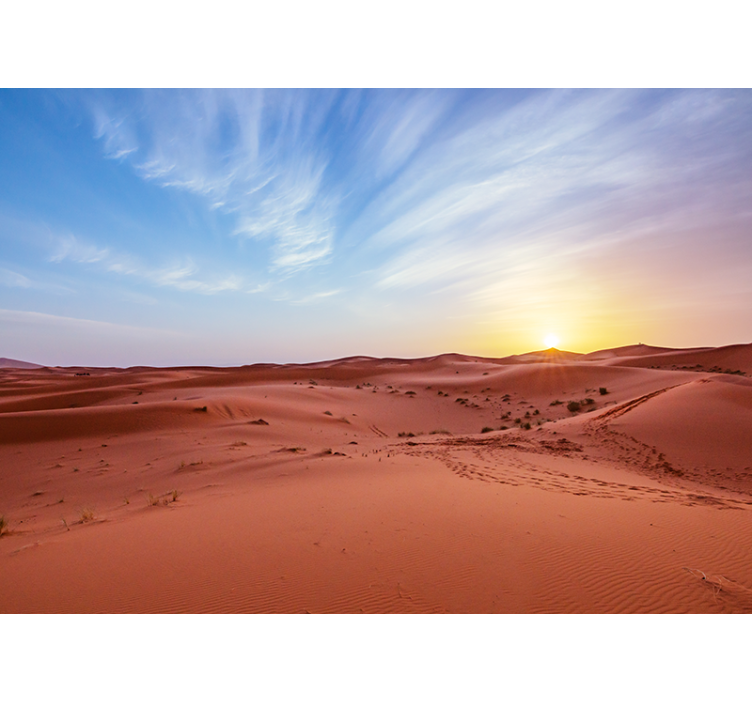 Desert in front of a sunrise Wall Mural - TenStickers