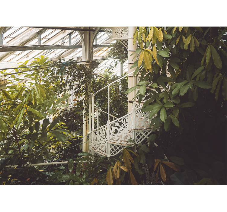 Wall mural nature lush greenery oasis - TenStickers