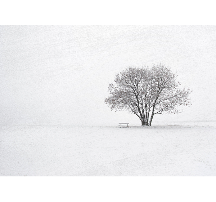 Wall mural nature solitary snowy tree - TenStickers