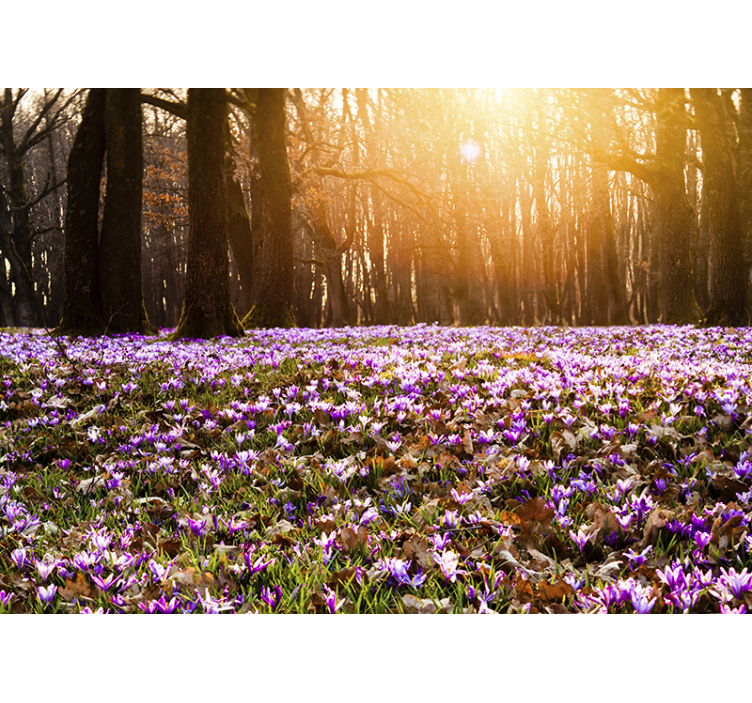 Flower wall mural sunlit flower meadow - TenStickers
