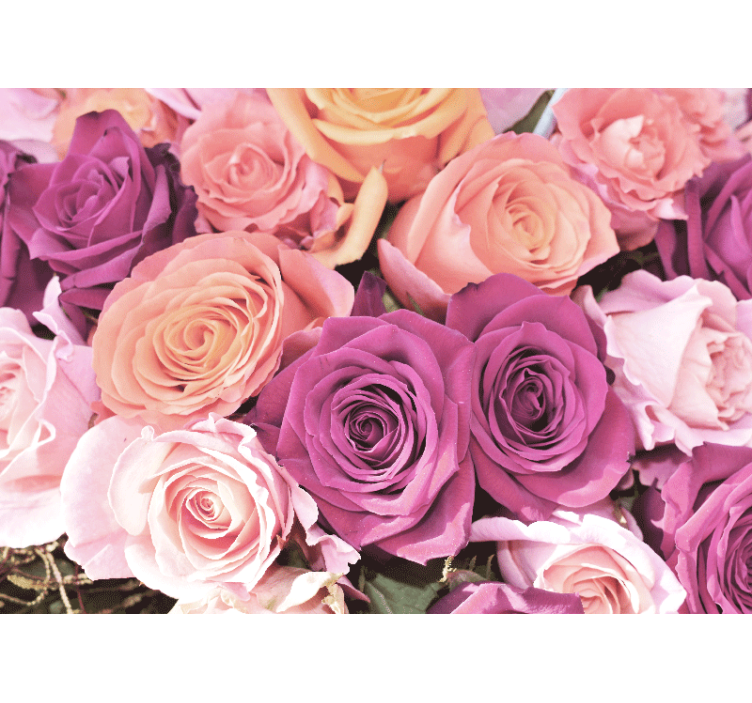 Flower wall mural rose bouquet closeup - TenStickers