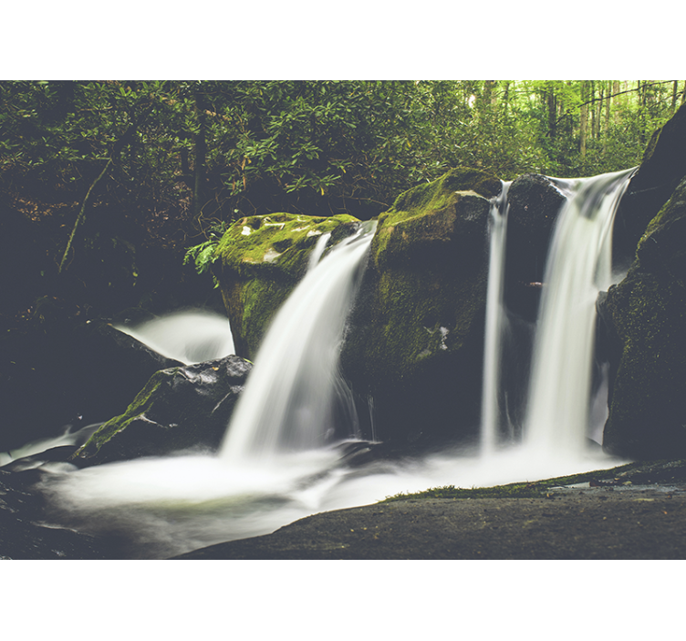 Forest nature waterfall Forest Wall Mural - TenStickers