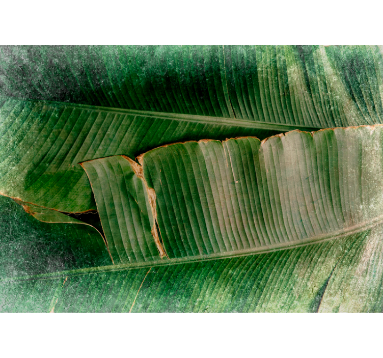 Wall mural nature vibrant foliage layers - TenStickers