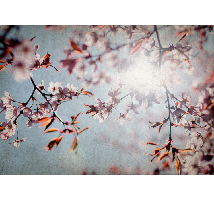 Flower wall mural sakura branches - TenStickers