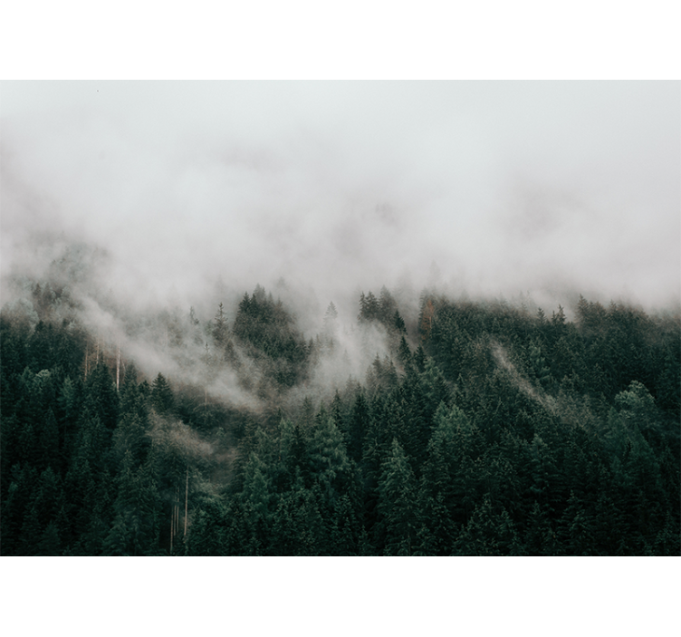 Forest Misty Clouds tree mural - TenStickers