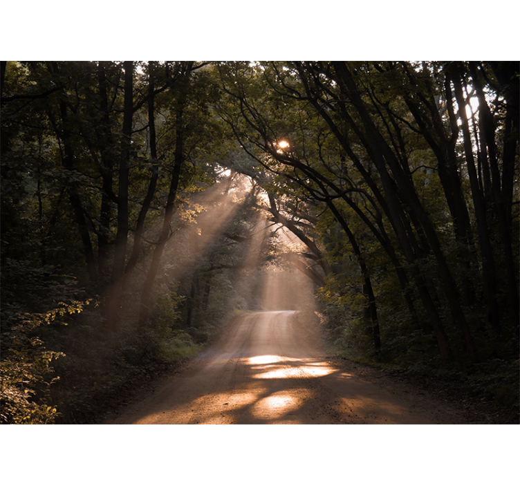 Wall mural nature radiant woodland path - TenStickers