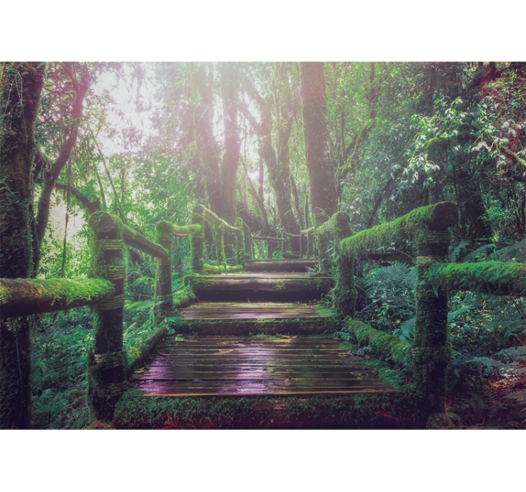 Wall mural nature mossy forest path - TenStickers