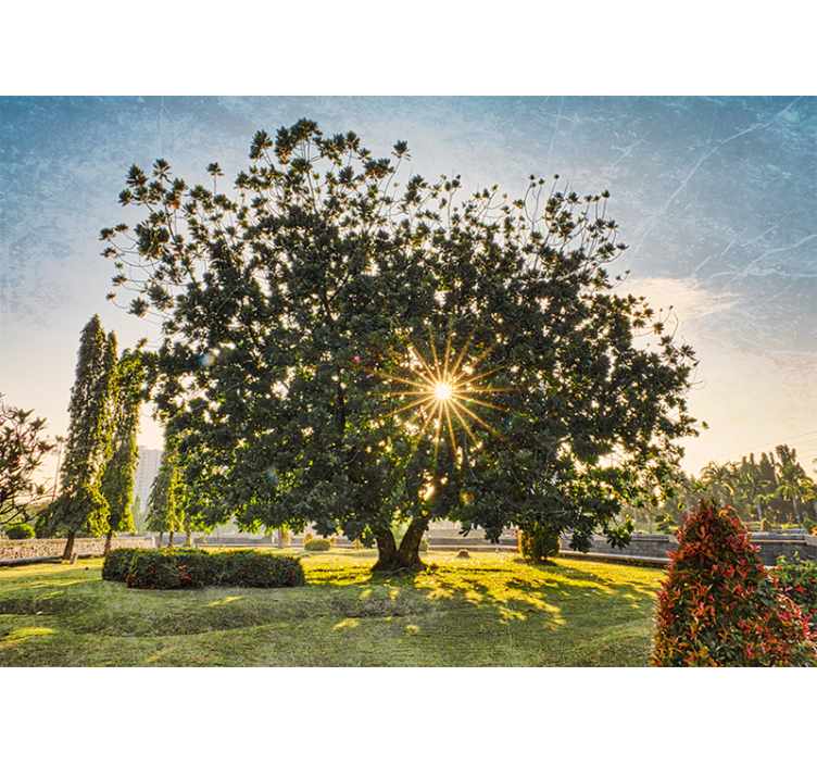 Wall mural nature sunny tree perspective - TenStickers