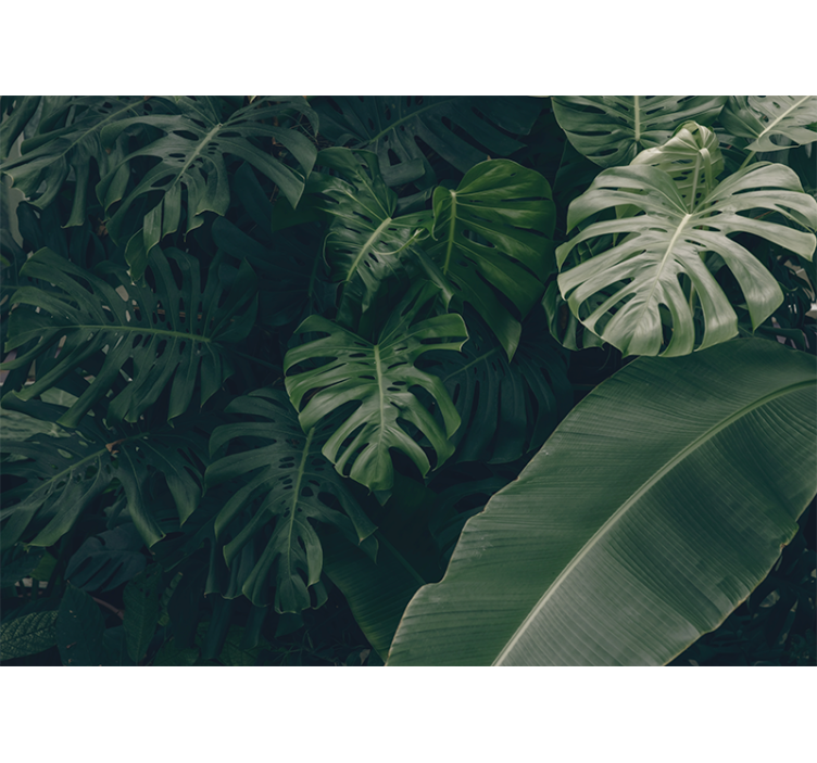 Beautiful green jungle Forest Wall Mural - TenStickers