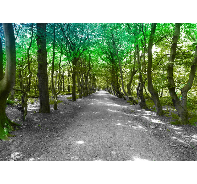 Wall mural nature lush tree path - TenStickers