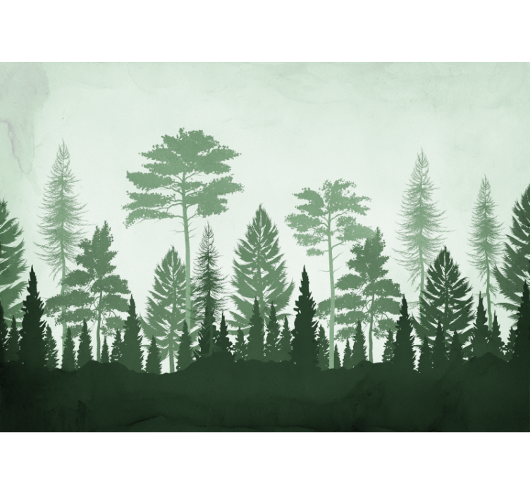 Forest wall mural lush evergreen forest - TenStickers