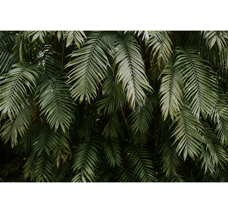 Wall mural nature tropical greenery design - TenStickers