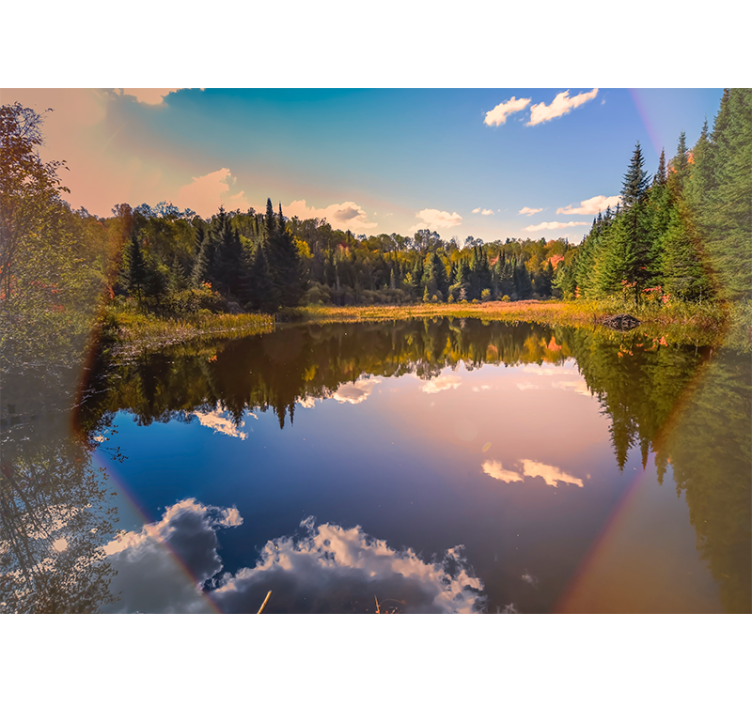 Landscape wall mural tranquil water reflection - TenStickers