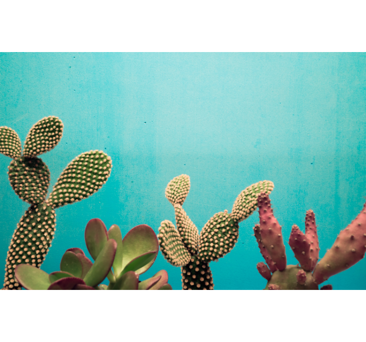 Cactus plants blue wall mural wallpaper - TenStickers