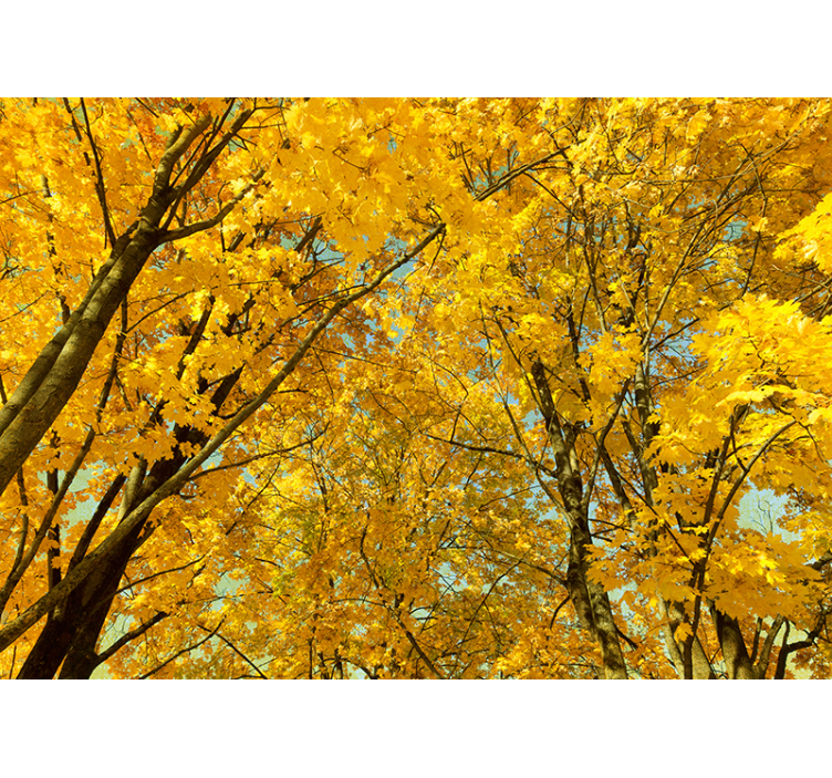 yellow autumn leaves tree mural - TenStickers