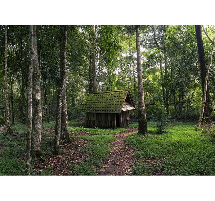 House in Middle of Forest photo wallmural - TenStickers