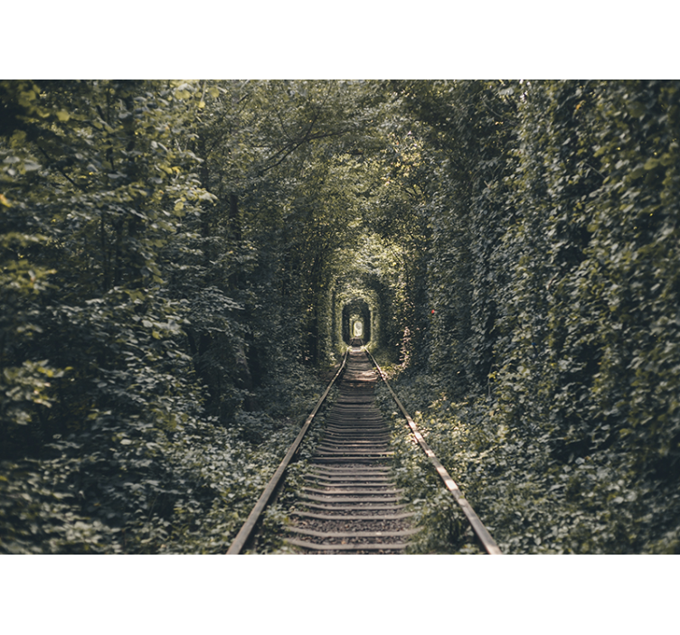 Landscape wall mural railway tunnel path - TenStickers
