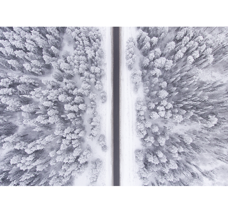 Wintry Woodland Trail landscape wall mural - TenStickers