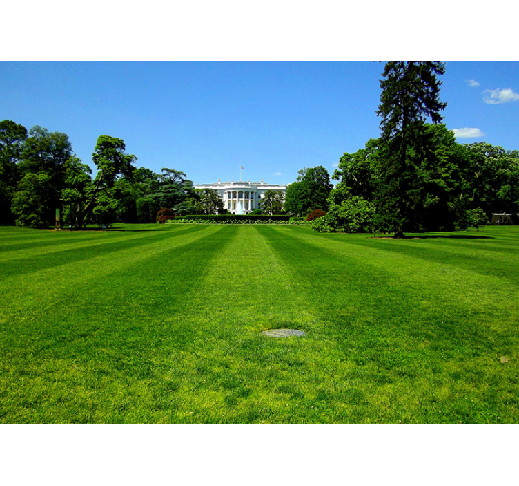 White House Landscape city wall mural - TenStickers