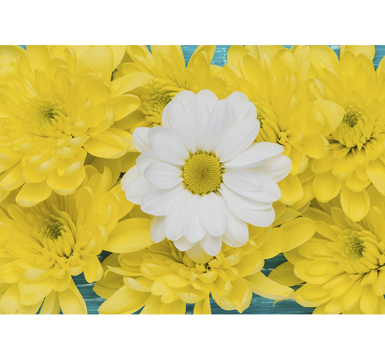Yellow and white daisy flower wall mural - TenStickers