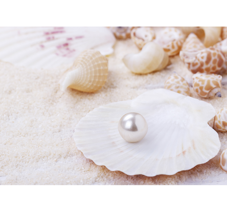 Wall mural nature shells and pearl - TenStickers