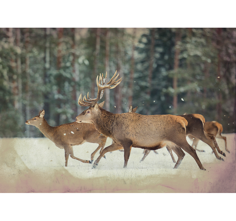 Majestic Deer Herd animals wall mural - TenStickers
