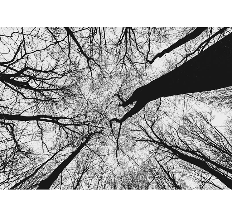 Wall mural trees intertwining branch silhouettes - TenStickers