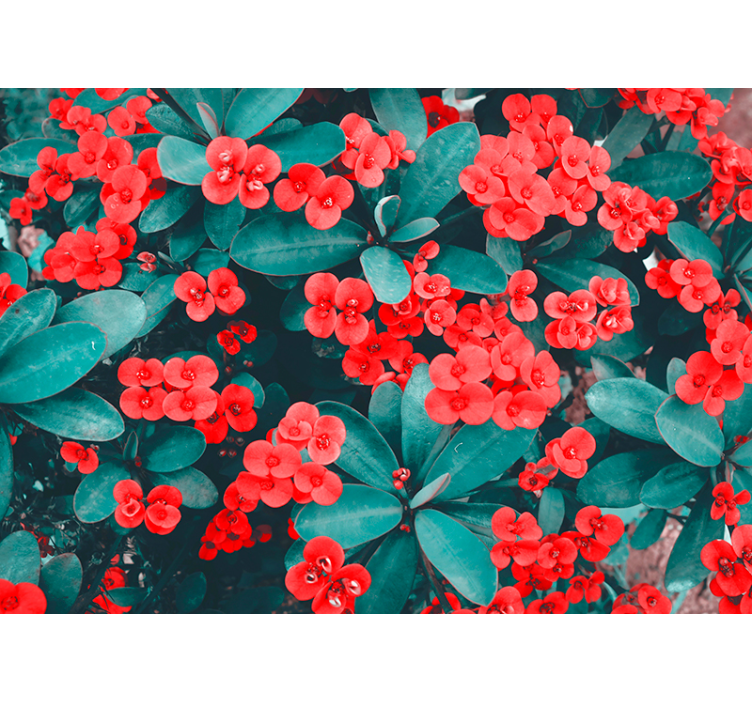 Red Floral Arrangement flower wall mural - TenStickers