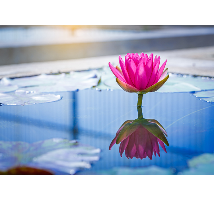 Zen wall mural lotus blossom serenity - TenStickers