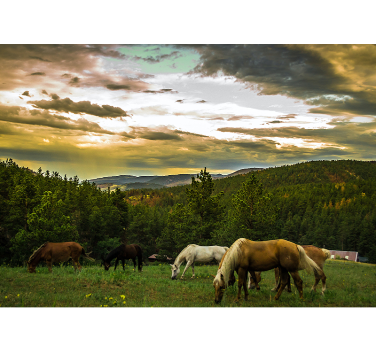 Horses in the mountains nature wall mural - TenStickers