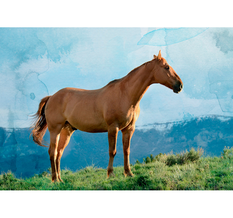 Majestic Horse Presence animals wall mural - TenStickers