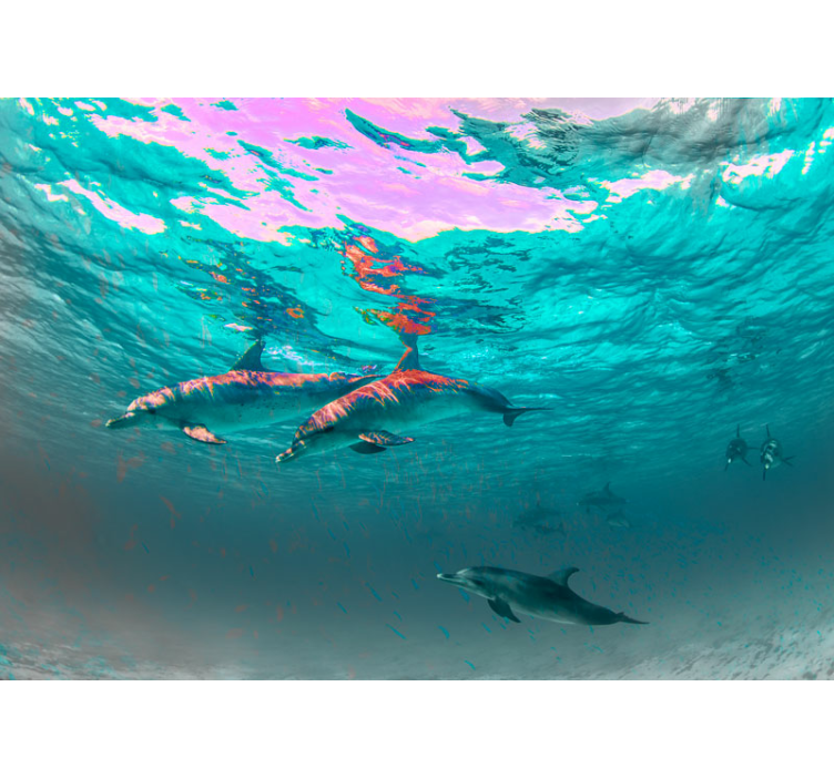 Dolphins swimming in the sea under sea mural - TenStickers