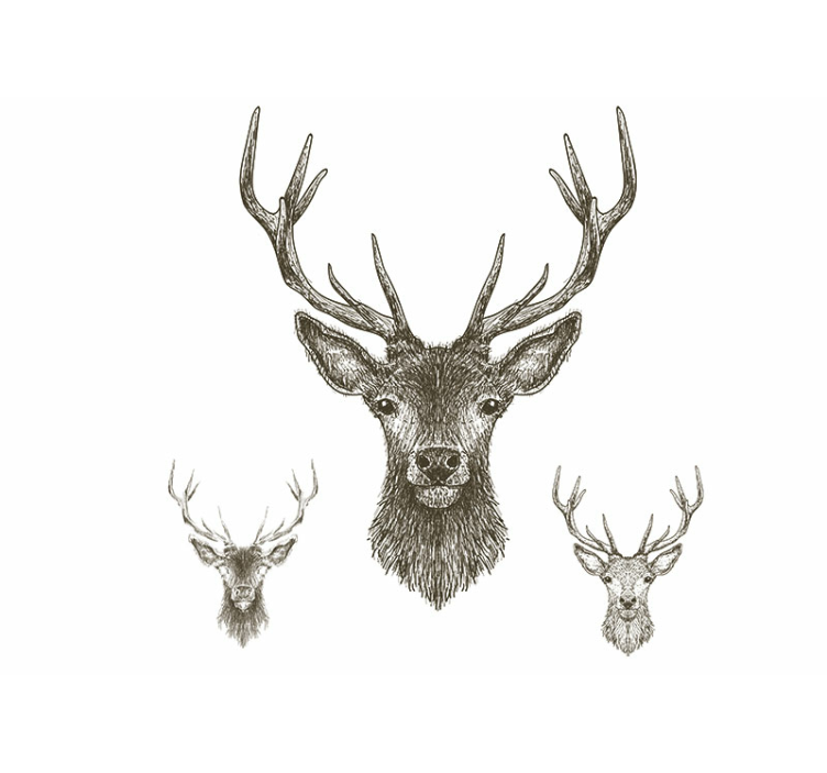 Hand Drawn Stag wall mural - TenStickers