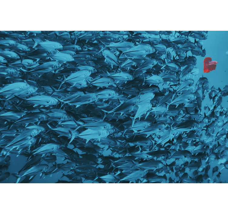 Wall photo fish in the ocean 3D Sticker - TenStickers