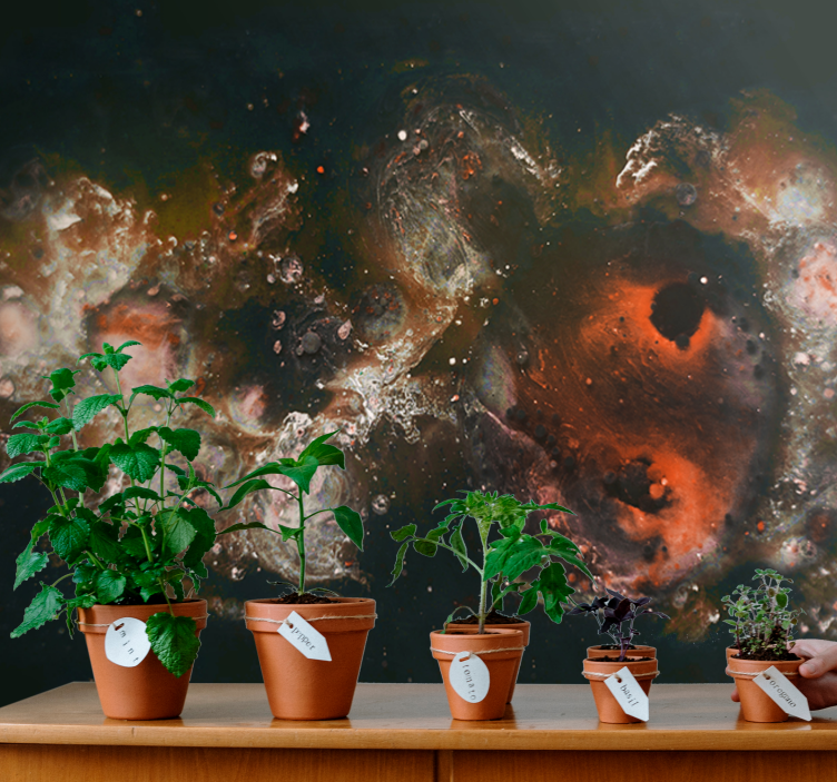 Abstract wall mural celestial fluid designs - TenStickers