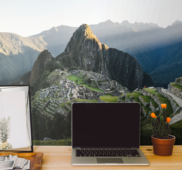 Air view of Machu Picchu ruins wall mural - TenStickers