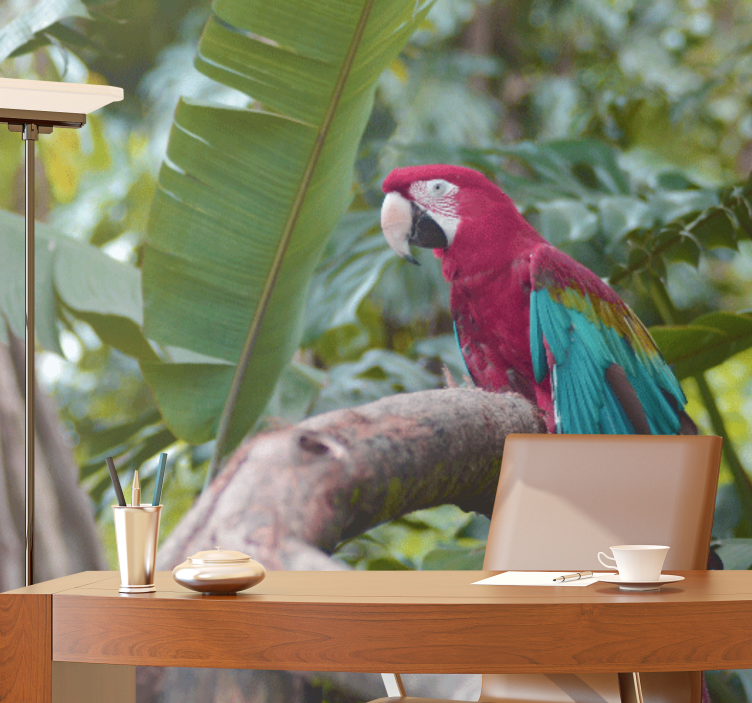 Animals wall mural colorful macaw parrot - TenStickers