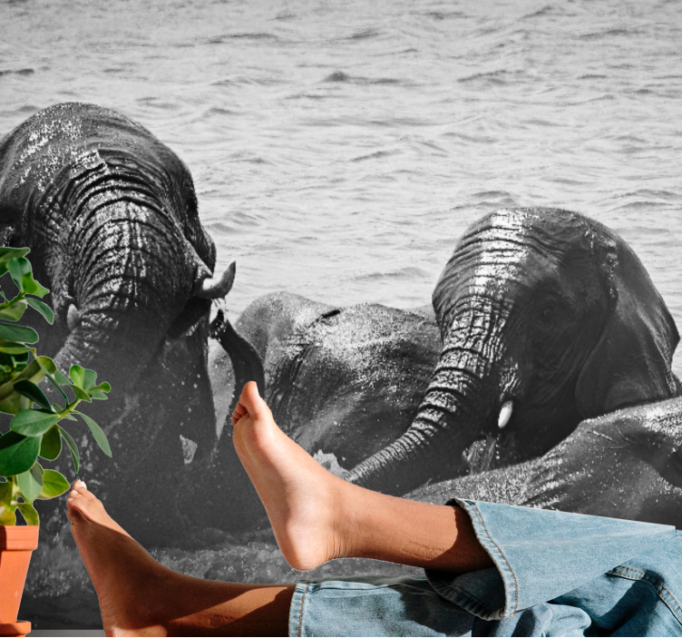 Animals wall mural elephants in water - TenStickers