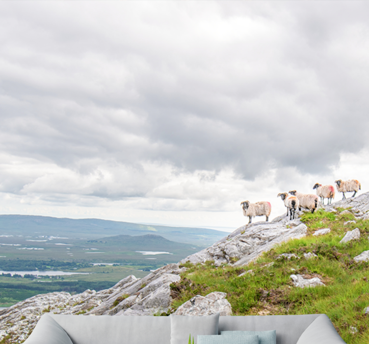 Animals wall mural lambs on slopes - TenStickers